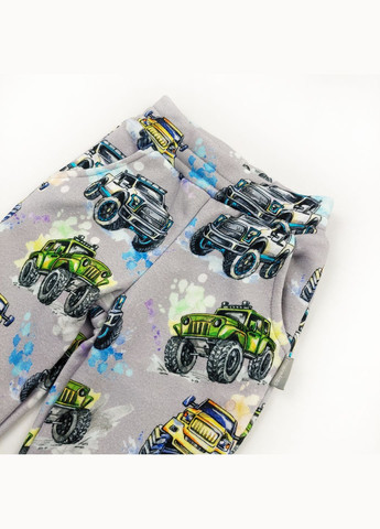 Серые повседневный демисезонные брюки Marakas