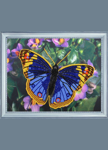 Набір для вишивання бісером арт. 101 Метелик Butterfly (316683483)