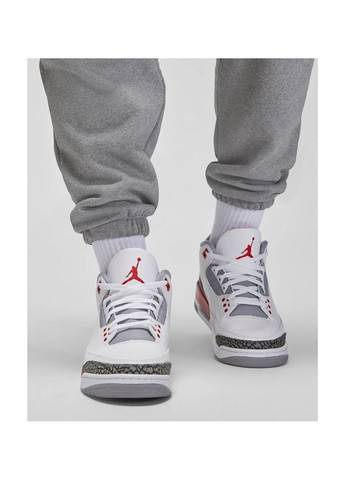 Серые демисезонные брюки Air Jordan