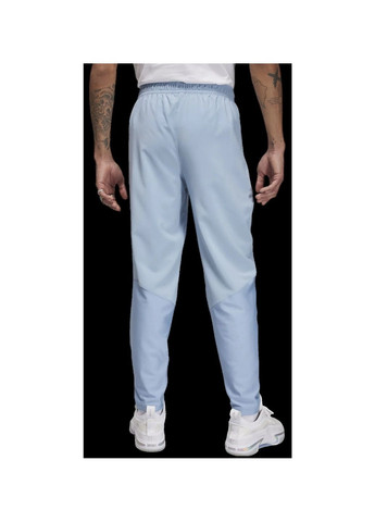 Голубые демисезонные брюки Air Jordan