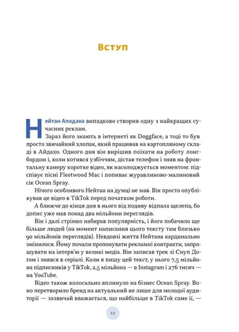 Полювання на увагу. Як насправді побудувати бренд і збільшити продажі в новому світі соцмереж Наш Формат (373920647)
