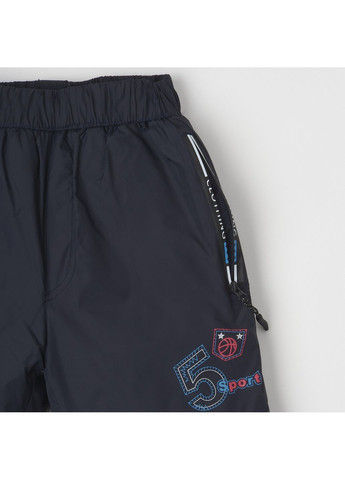 Синие спортивные зимние брюки F&D