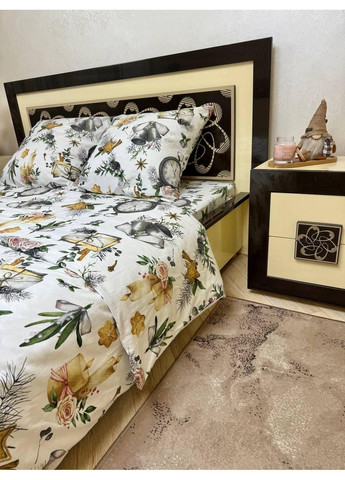 Постельное белье Евро Пакистанская байка 200 x 220 см 4704 Белая 50 х 70 см No Brand (361146345)