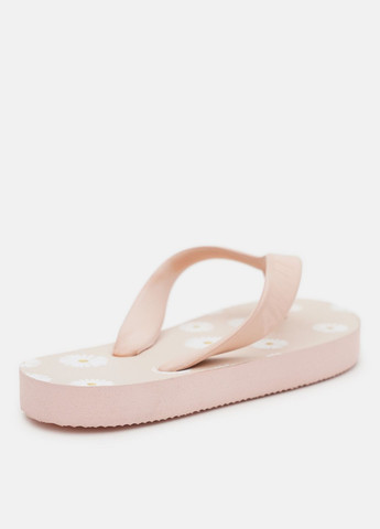 В'єтнамки Angulus (328412000)