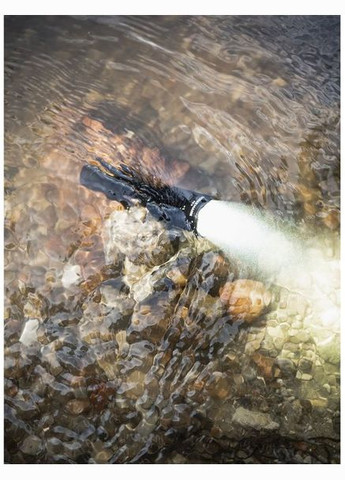 Фонарь DOBERMANN Pro Marnet USB (F07501C) Armytek (314119275)