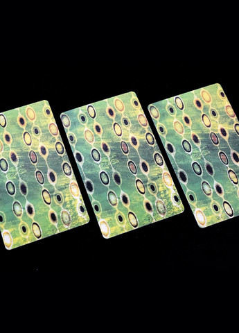 Карты Таро Путь Сновидений (Dreaming Way Tarot) No Brand (372447414)