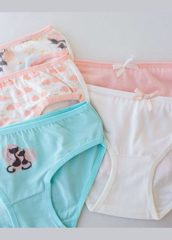 Набір трусиків дитячих сліпів для дівчаток 5 шт Nicoletta Трусики (342119737)