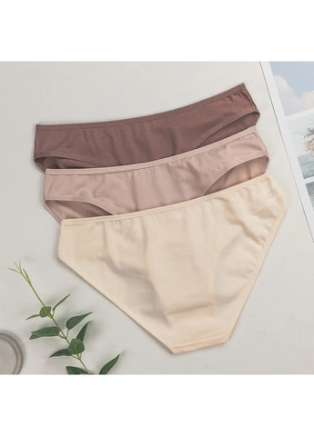 Трусики-сліпи жіночі трійки 3 шт Dominant (355890353)