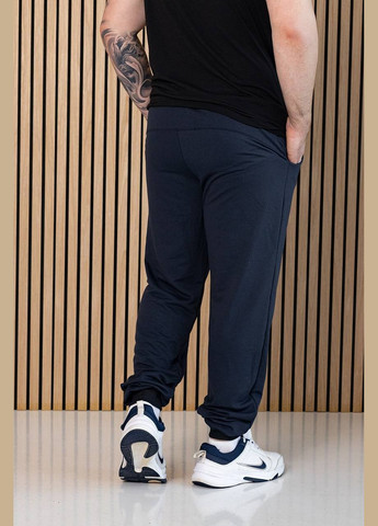 Темно-синие спортивные, повседневный демисезонные джоггеры брюки Vakko