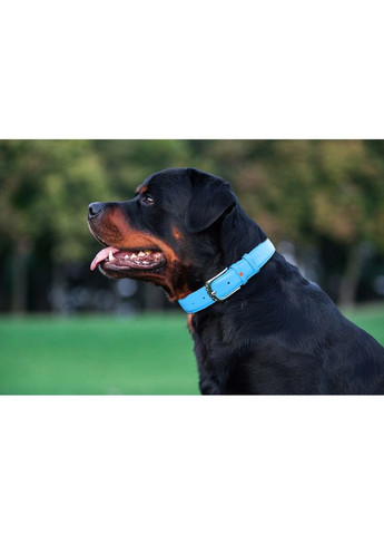 Ошейник для собак кожаный Glamour с QR паспортом, без украшений,, Ш 25 мм, Длин 38-49 см голубой WAUDOG (322002023)