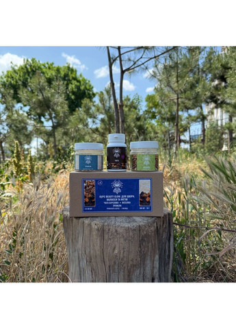 Курс Beauty Glow Для шкіри волосся та нігтів (1 місяць) Лісовик (364210667)