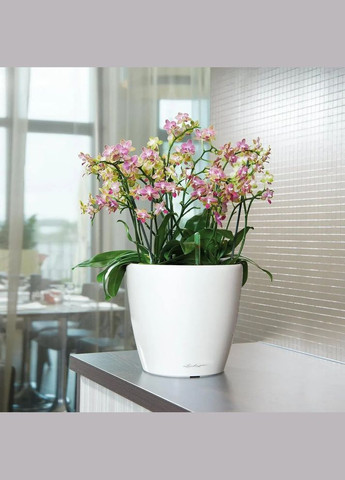 Кашпо Classico Premium LS 35 13 л 16063 Lechuza (316627990)