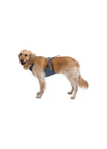 Автошлейка для собак Load UpTM 81-107 см Ruffwear (383806310)