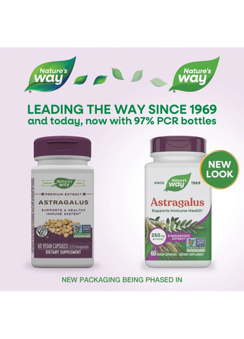 Астрагал, премиум экстракт, Astragalus, Premium Extract,, 60 вегетарианских капсул Nature's Way (322741217)
