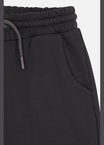 Графитовые демисезонные брюки Yuki