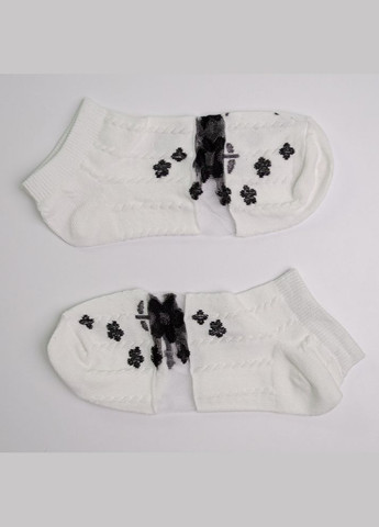 Белые набор носков женских хлопковых 10 пар youstar 092 низкие 37-41 белый GM Textile (339042283)