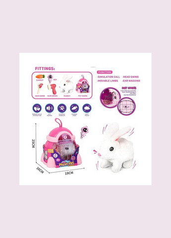 Любимец зайчик 031-1 A (32/2) ходит, переноска, аксессуары, в боксе No Brand (322463832)