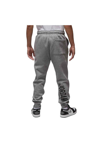 Серые демисезонные брюки Jordan