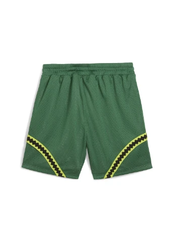 Шорты HOOPS x TMNT Basketball Shorts Men Puma (351595981)