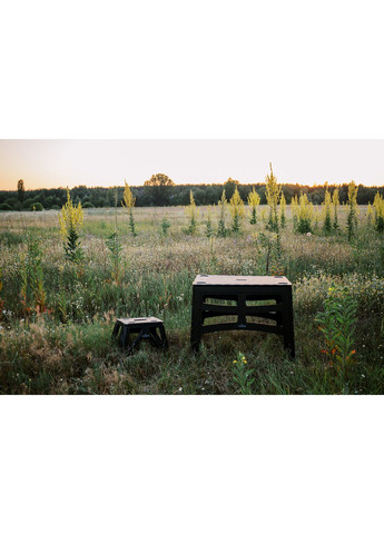 Стіл Camp Table High пластиковий T-EF-0004-black Tribe (366220518)