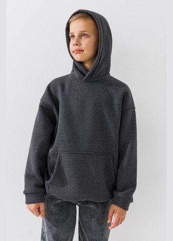 Худи однотонный для мальчика BBC02310 122 см Серый shop (2000990924995) LAWA (335762334)