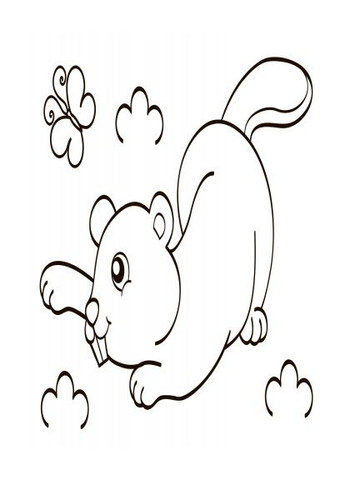 Дитяча водна розмальовка: Дикі тварини 734008, 8 сторінок Ranok Creative (305077620)