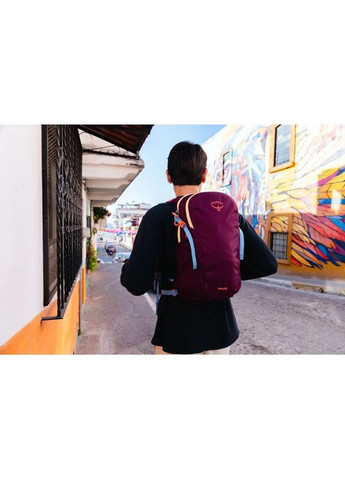 Рюкзак Daylite Червоний Osprey (358497271)