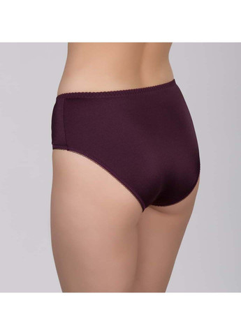 Трусы-слип (maxi) Elita (301643467)