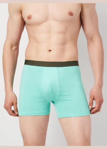 Трусы (3шт) Basic Collection (295404425)