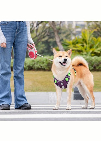 Шлея для собак Hiking, регулируемая нейлоновая шлея, Фиолетовый L (54-71 см) Duomm (299915474)