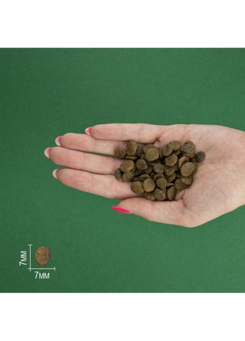 Сухий корм Salmon Mini Adult для дорослих собак дрібних порід з лососем 7 кг (8436538946725) Bravery (364786733)