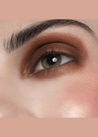 Тени Basic 085 - Горно-коричневый, 2г PROVG (302227869)