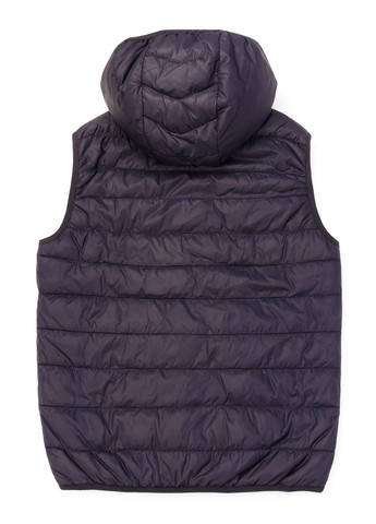 Жилет мужской стеганый The Unlimited No Brand (368820961)