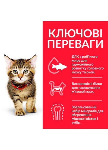 Сухой корм для котят Science Plan Kitten с курицей 300 г 604046 HILLS (266274226)