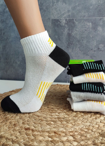 Шкарпетки дитячі в сітку бавовна 6 пар DL 705/6 Lomani (338434850)