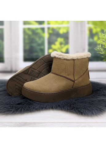 Черевики жіночі зимові замшеві Dago (308975520)