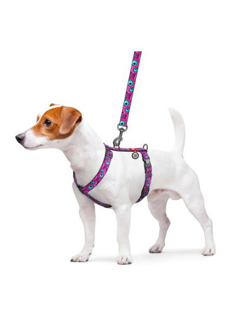 Шлей для собак Nylon анатомический H-образный с QR-паспортом "Глаз монстра" пластиковый фастекс, L (345-4049) WAUDOG Nylon анатомічна H-подібна з QR-паспортом "Око мон (366735785)