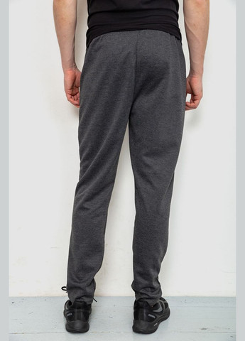 Темно-серые спортивные демисезонные брюки Ager