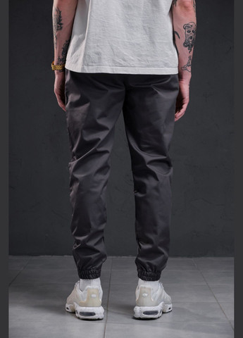 Серые демисезонные брюки Without