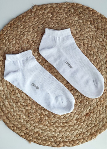 Белые набор носков сетка хлопок 6 пар житомир msс 610/6 р.40-44 XTeam однотонные (341721027)