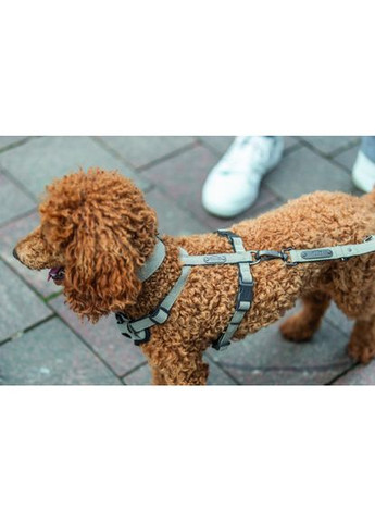 Шлея CityStyle H-harness для собак хлопок S–M 42–60 см 15 мм светло (*) Trixie (322592489)