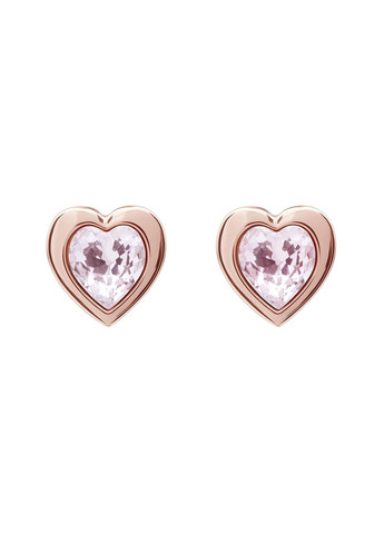 Жіночі сережки Ted Baker (298912452)