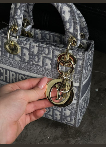 Жіноча сумка Крістіан Діор No Brand (314963244)