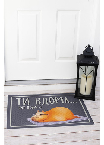 Ковер придверный с принтом Капибара ты дома Presentville 7764 (365251286)