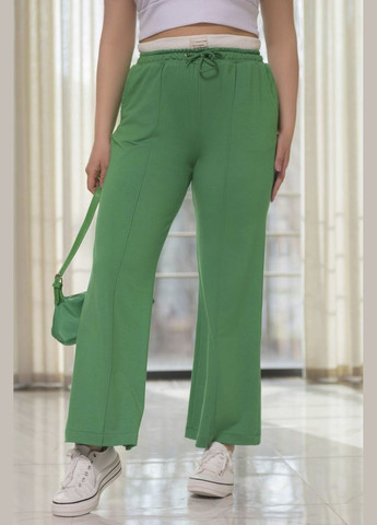 Штани жіночі однотонні зеленого кольору Let's Shop (317284391)