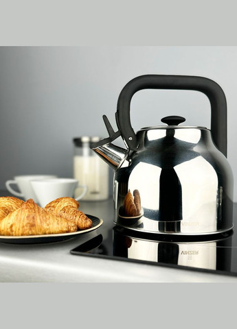 Чайник зі свистком Space 2.7 л (50002) Vinzer (337990606)