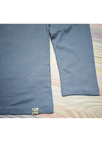 Підлітковий лонгслів реглан для хлопчика 164 см Блакитний, сірий Cool Club (369141301)