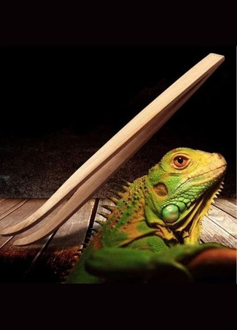 Бамбуковий пінцет вигнутий 28см (FR09) Repti-Zoo (322711980)