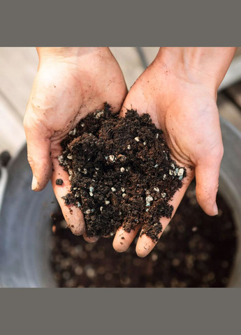 Субстрат VEGGIEPON 12л (A-014732) Lechuza (315150116)