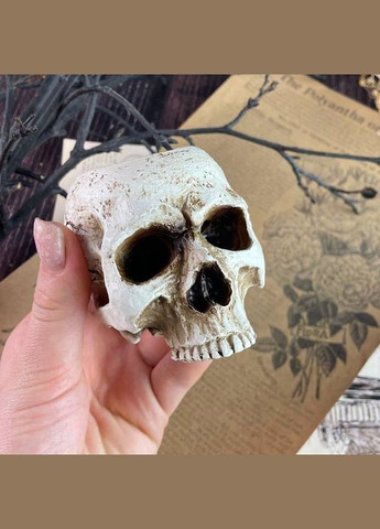 Свічник - Череп Відьми No Brand (338623814)